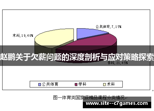 赵鹏关于欠薪问题的深度剖析与应对策略探索 赵鹏关于欠薪问题的深度剖析与应对策略探索