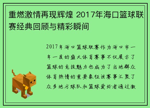 重燃激情再现辉煌 2017年海口篮球联赛经典回顾与精彩瞬间